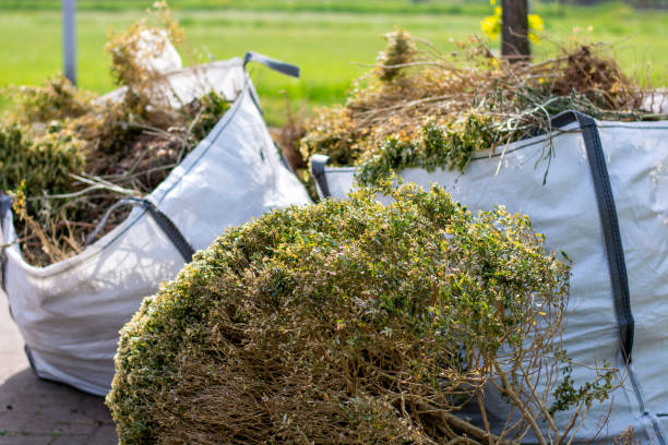 Best Basement Cleanout Services  in Arcade, GA